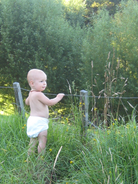 Owen mooing at the cows.